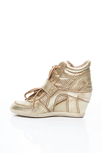 ash basket compensée